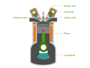 A cam on a camshaft converting rotational motion into oscillatory motion of valves thereby opening & closing the valves at the exact times.