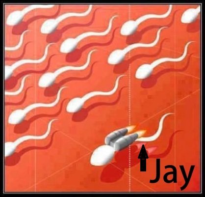 About us, picture of jay